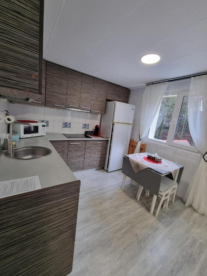 Apartament Casa Thor *