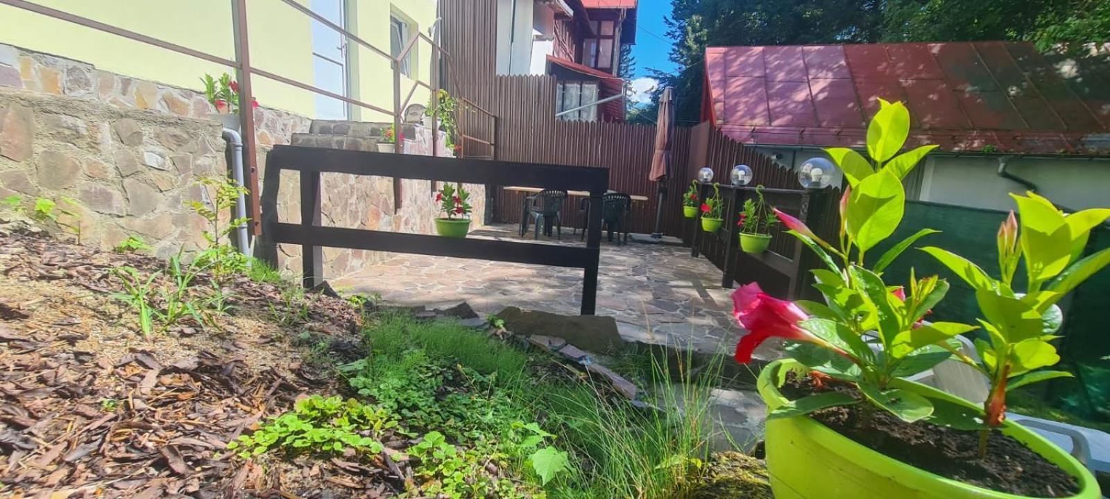 Apartament Casa Thor Sinaia
