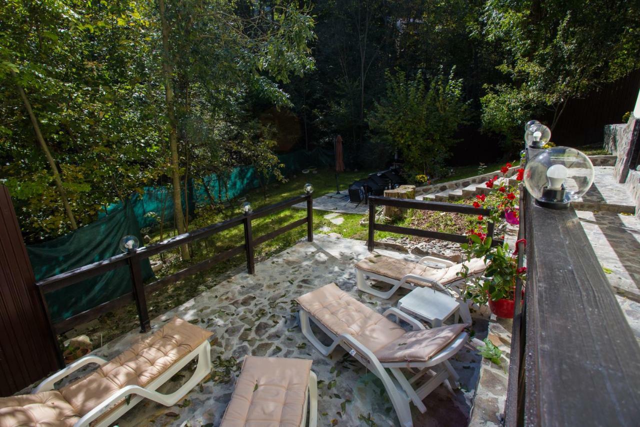 Apartament Casa Thor Sinaia